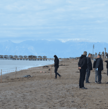 antalya-sahillerinde-bulunan-ceset-sayisi-8-e-16768239_4357_m