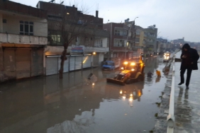 9aa86afa-e9c3-40ce-a134-9773a79b2d6e-1024x576