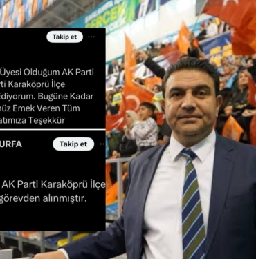 InShot_20240208_202729954