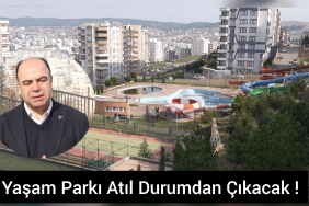 InShot_20240222_142132313