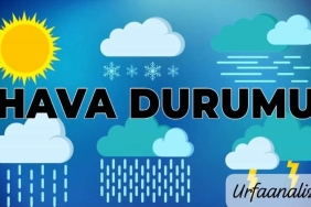 WhatsApp Image 2024-02-05 at 10.44.41