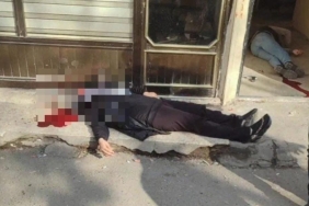 WhatsApp Image 2024-02-19 at 13.13.16