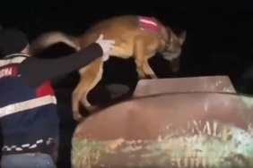 sanliurfanin_aralarinda_bulundugu_15_ilde_operasyon_h50460_824ed