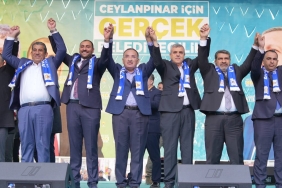 20240303_200932-1024x683