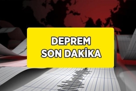 65b33902f417864ac703152d