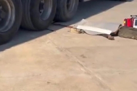 WhatsApp Image 2024-03-05 at 12.50.02