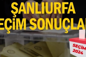 WhatsApp Image 2024-03-31 at 17.12.34