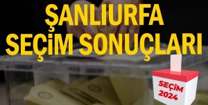 WhatsApp Image 2024-03-31 at 17.12.34