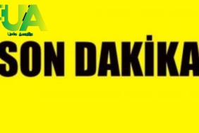 InShot_20240406_223939454