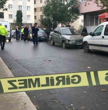 149826 (1)
