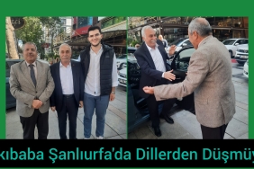 InShot_20240505_153347145