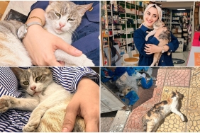 InShot_20240507_220041054