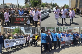 InShot_20240510_131346866