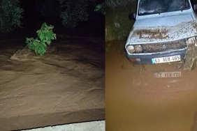 WhatsApp Image 2024-05-02 at 10.12.55