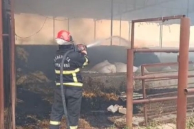 eyyubiye-de-ciftlik-yangini_439a6