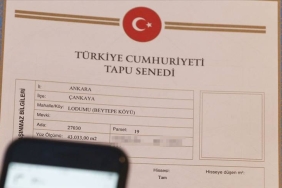 thumbs_b_c_5c77fe2c453ba6d146a4eedcc7071208