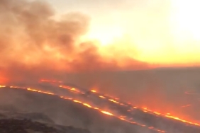 Screenshot_20240603_212728_WhatsApp