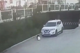 Screenshot_20240625_141354_Instagram