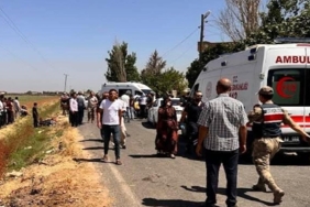 capture-20240617-113801