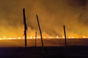 capture-20240626-102440