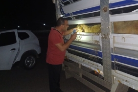 g-p-u-glx7-xk-a-a-r-ohe