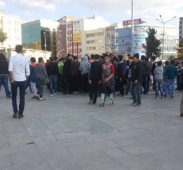 images (1)