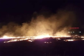 sanliurfa-da-aniz-yangini-yerlesim-alanina-ulasmadan-sonduruldu1624659221