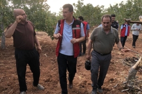 450815015-866392362180103-3368855975186750697-n