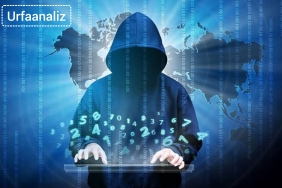 InShot_20240712_081906960