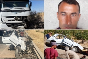 InShot_20240731_131626245