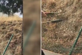 Screenshot_20240712_135809_X