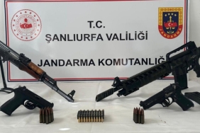 g-r-e-g0-ob0-a-an-l-m-i