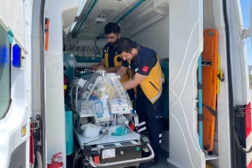 25c2e637-62ff-4039-b2e2-b8ddccdbfbb5