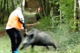 3d9de525816f806c3f0c7f4fc0a7de64