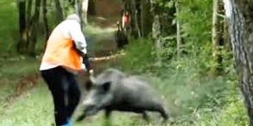 3d9de525816f806c3f0c7f4fc0a7de64