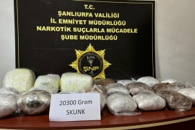 g-w-sry-x-xg-a-a-w6xk