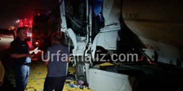 InShot_20240912_094933599