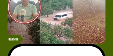 Mavi Modern Ekonomi Haber Manşeti Instagram Gönderisi_20240923_131414_0000