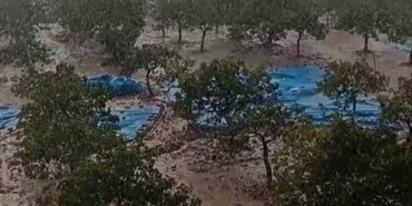 Screenshot_20240922_105316_WhatsApp