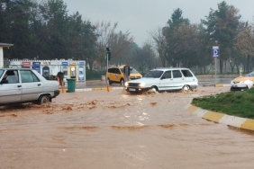 bZFidqhuwkKhjppUXCNf-Q