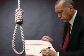 InShot_20241002_111500052