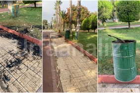 InShot_20241011_101143692