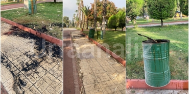 InShot_20241011_101143692