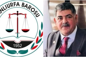 InShot_20241013_225758485