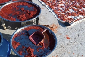 Screenshot_20241007_215800_Instagram