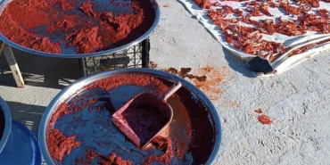 Screenshot_20241007_215800_Instagram