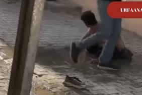 Screenshot_20241010_101549_Gallery