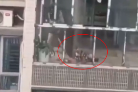 cani-kadin-kayinvalidesini-oldurdu-bebegini-17950394_7425_m