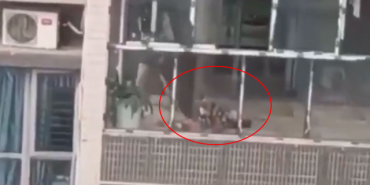 cani-kadin-kayinvalidesini-oldurdu-bebegini-17950394_7425_m