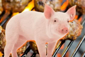 urunlerinde-domuz-eti-cikan-kofteci-kofteci-yusuf-cikti-84le-740x420